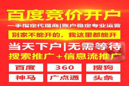 百度搜索推广实战：经典案例深度剖析